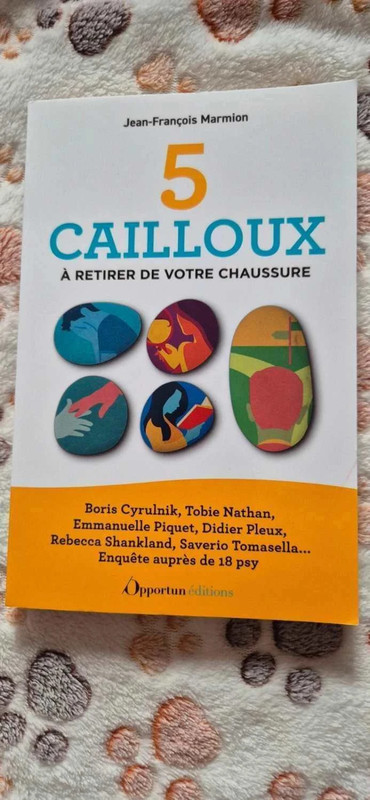 📖 Jean-François Marmion - 5 cailloux à retirer de votre chaussure