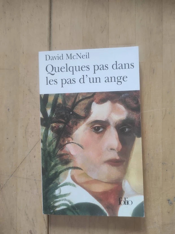 Quelques pas dans les pas d'un ange David McNeil Folio 2005