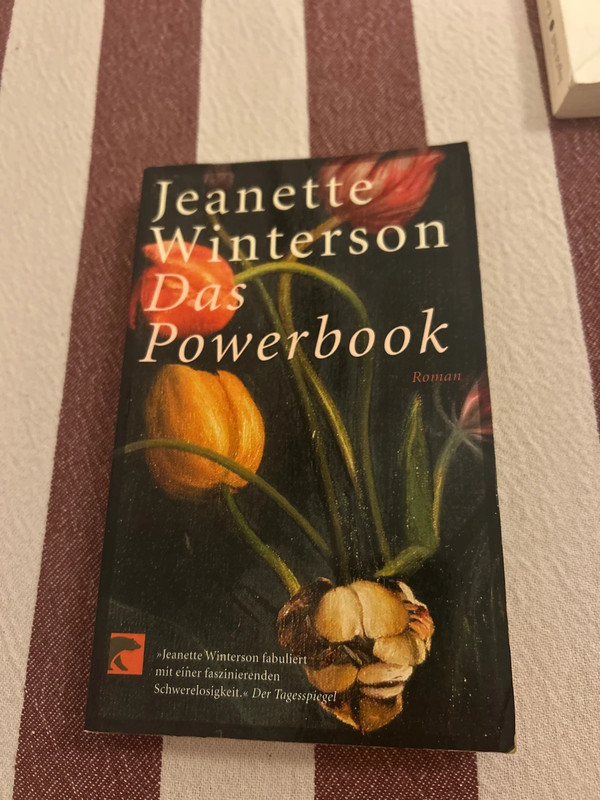 Das Powerbook von Jeanette Winterson