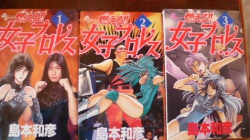 Manga donna pro wrestling Manami Toyota giapponese JPN