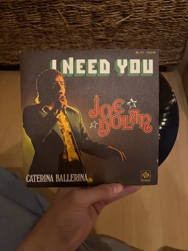 7" Vinyl Single Joe Dolan - I Need You / Caterina Ballerina (PYE Records)