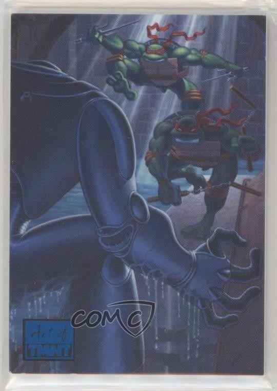 2019 The Art of TMNT (Teenage Mutant Ninja Turtles) Blu/10 Jim Lawson Auto 8zk