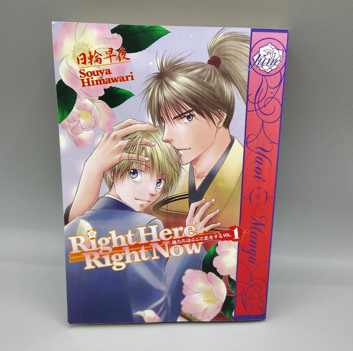 Right Here, Right Now Volume 1 di Souya Himawari (2010, brossura commerciale) Yaoi