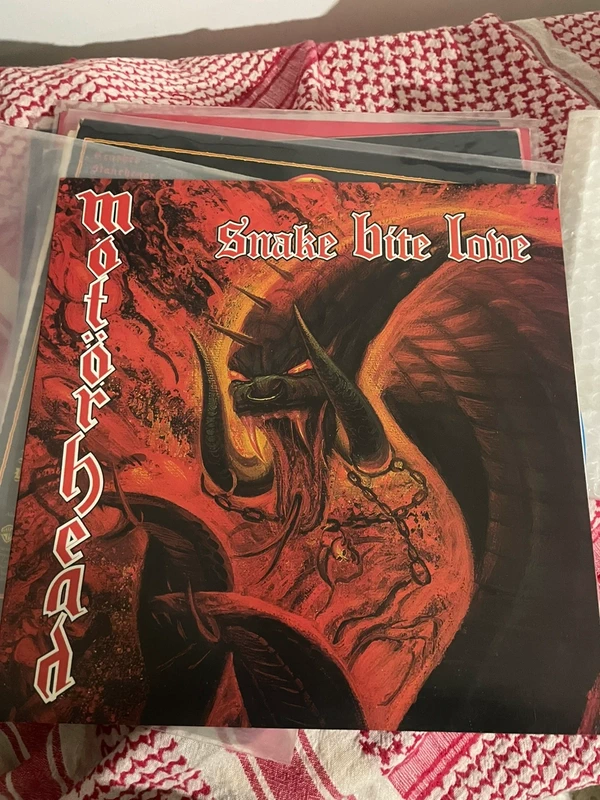 Snake bite love LP