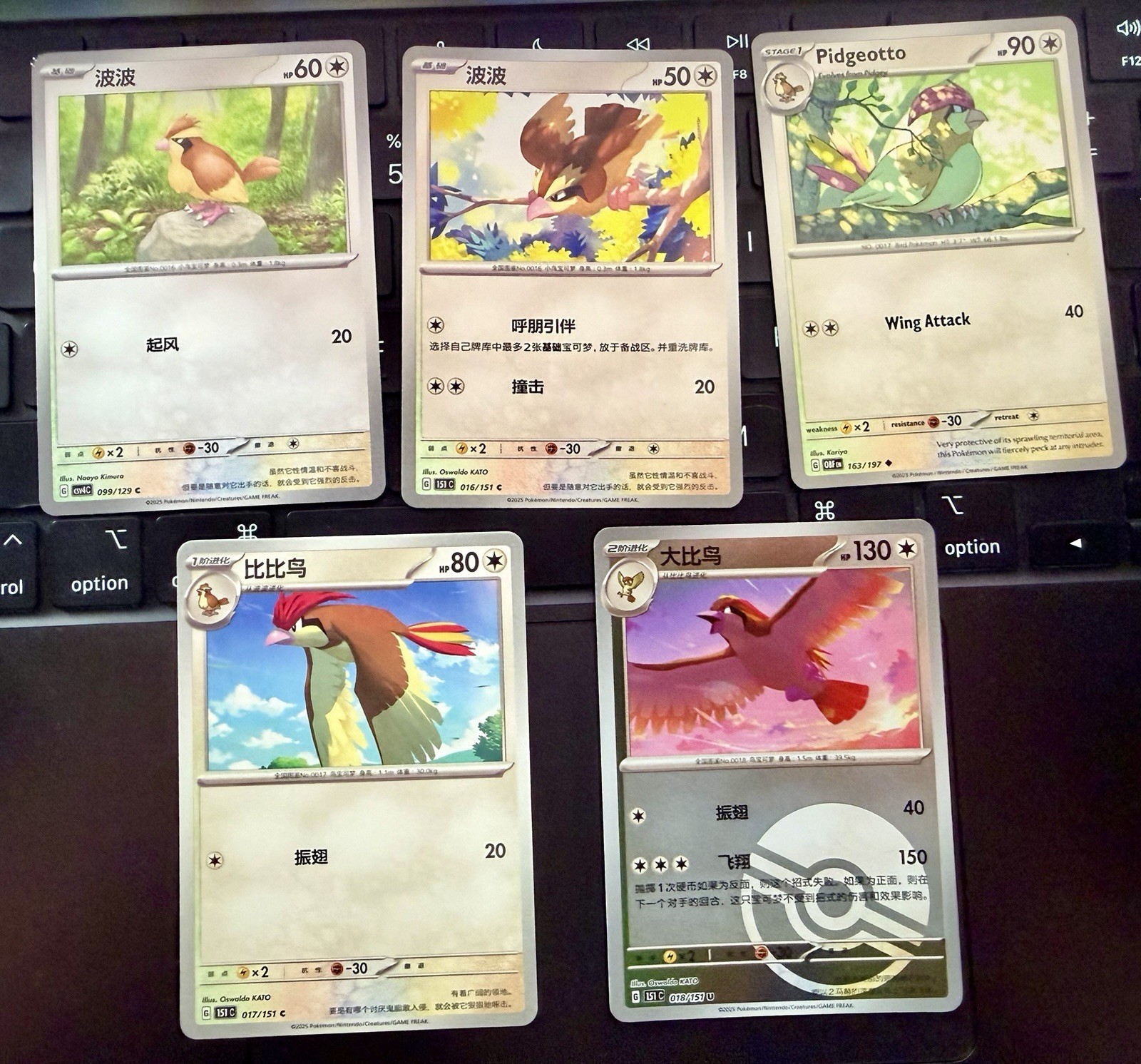 Pokémon TCG Pidgey Pidgeotto Pidgeot Lot (5) Reverse Holo Regular CHN ENG NM