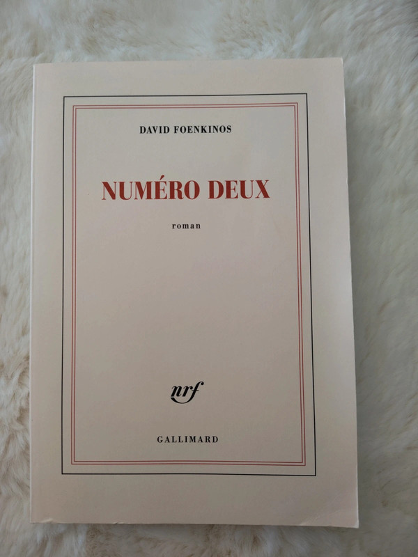 Numéro deux David Foenkinos