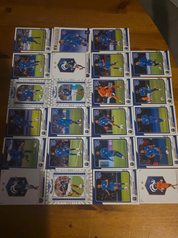 Panini intl équipe de France