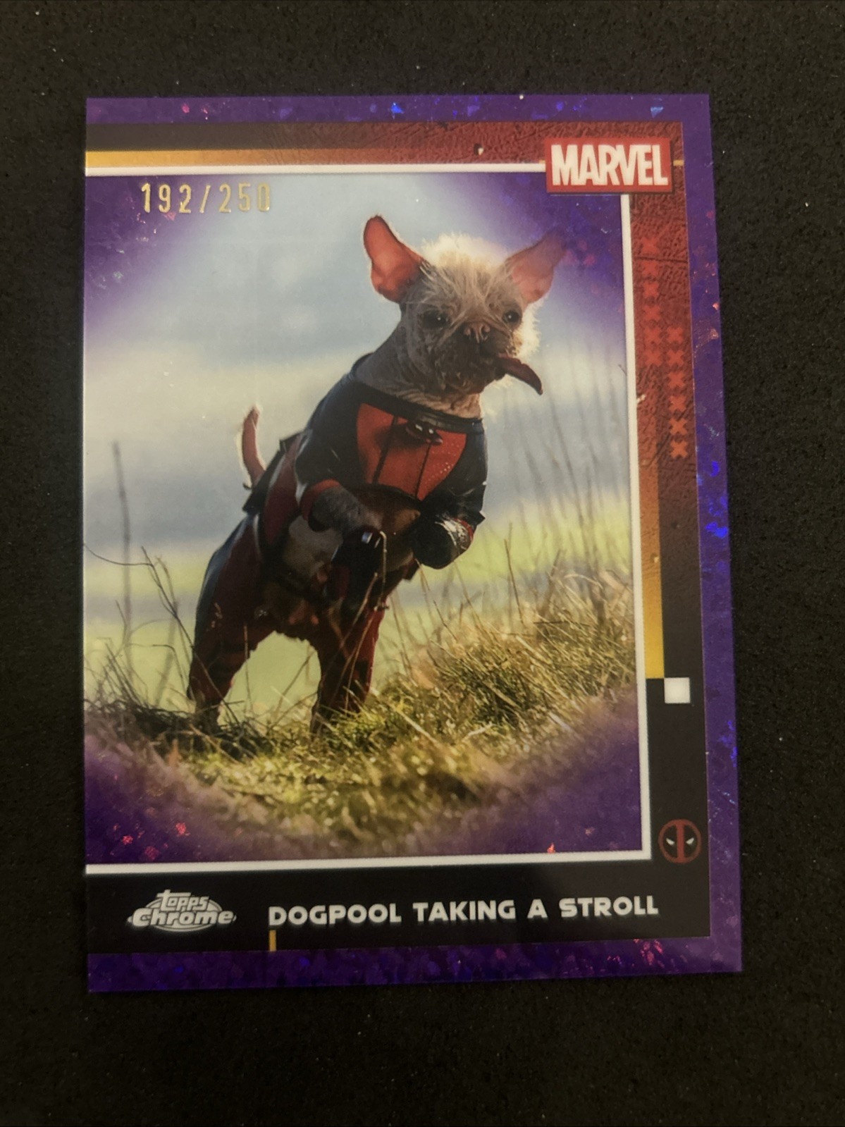 2025 Topps Chrome Deadpool DOGPOOL TAKING A STROLL Purple Wave /250 #73 TZ