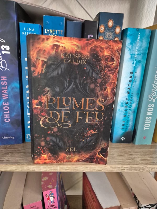 Plume de feu tome 1