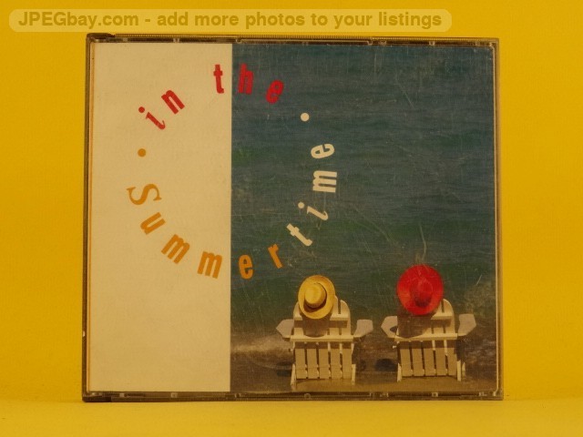 VARIOUS ARTISTS IN THE SUMMERTIME (6xCD) (Z150) 20+ Track CD Album including Pic