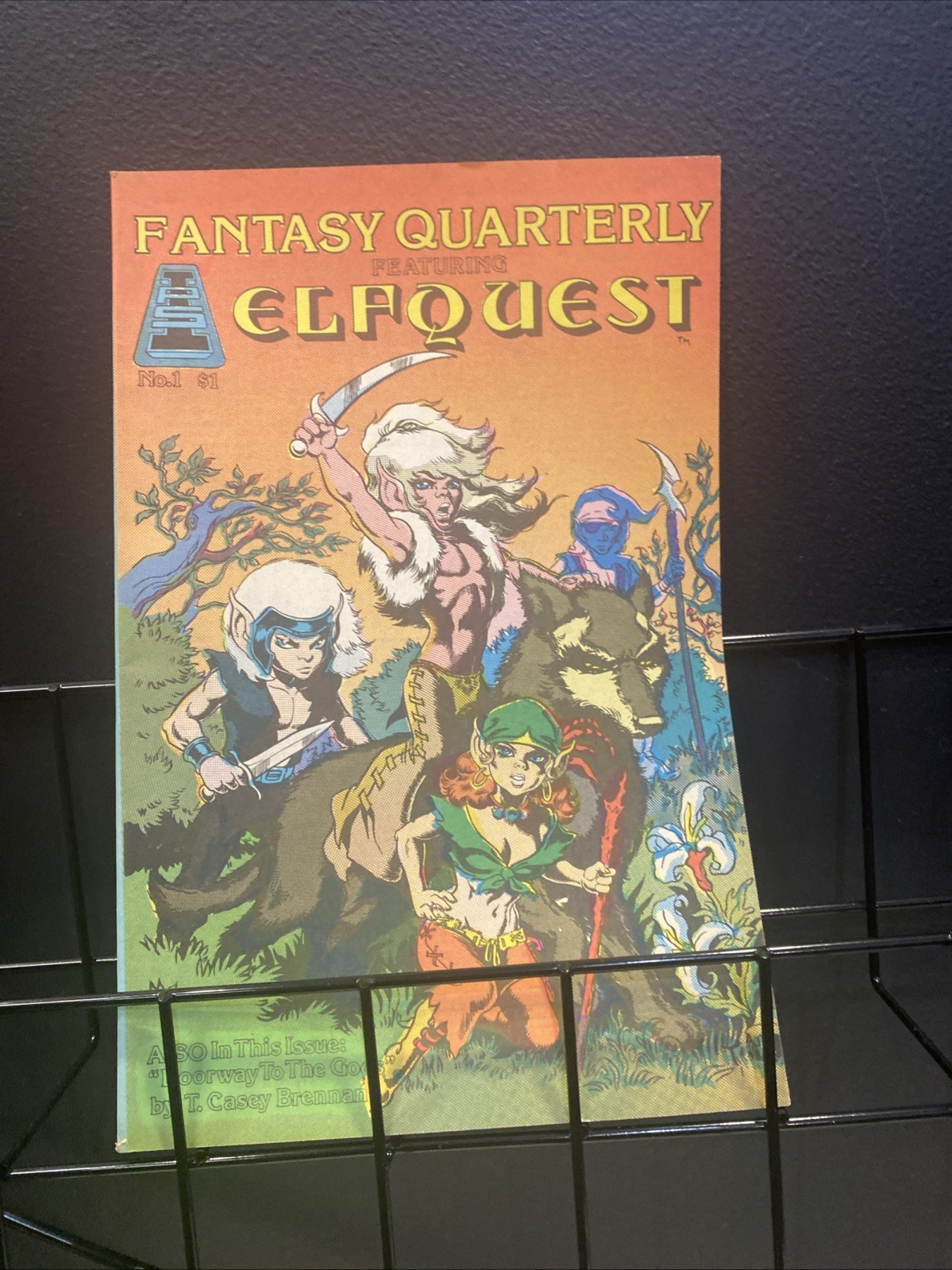 Fantasy Quarterly #1 Elfquest 1° App. Chiave maggiore