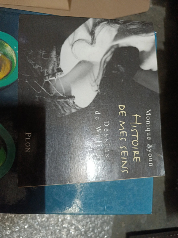 Histoire de mes seins