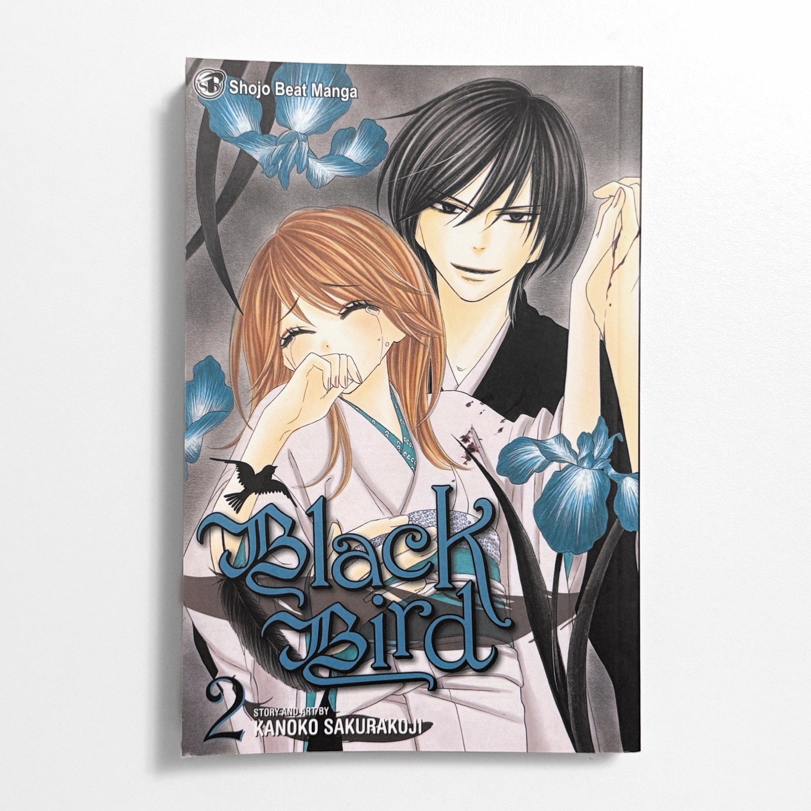 Black Bird Kanoko Sakurakoji Shojo Beat Viz Media Fantasy Manga Vol. 2 inglesi