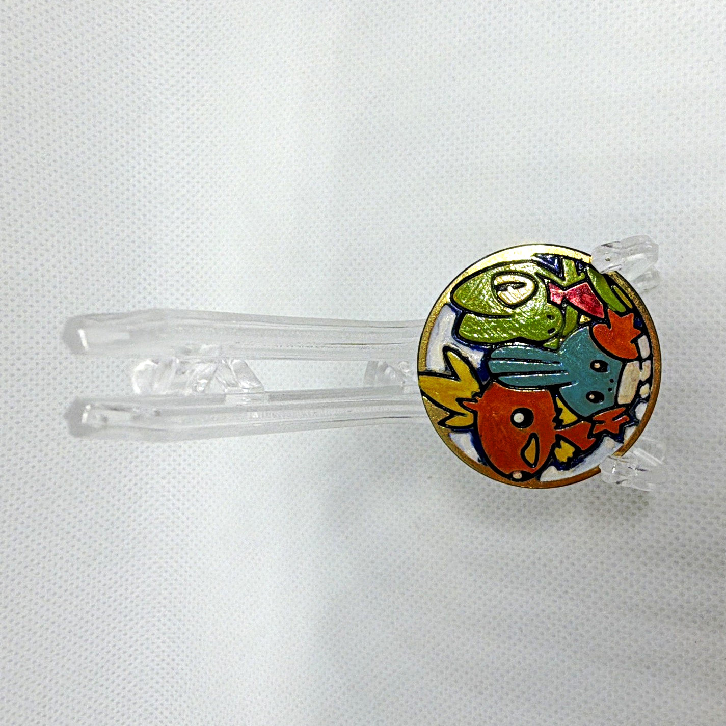Custom Handpainted Treecko Torchic Mudkip Pokémon coin!