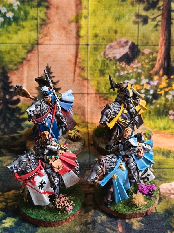 Cavalieri D&D