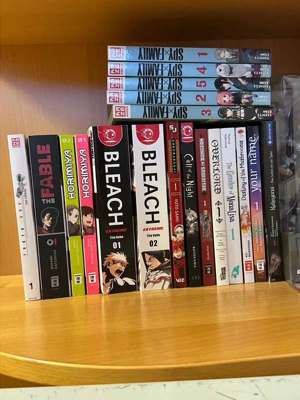 Manga Verkauf