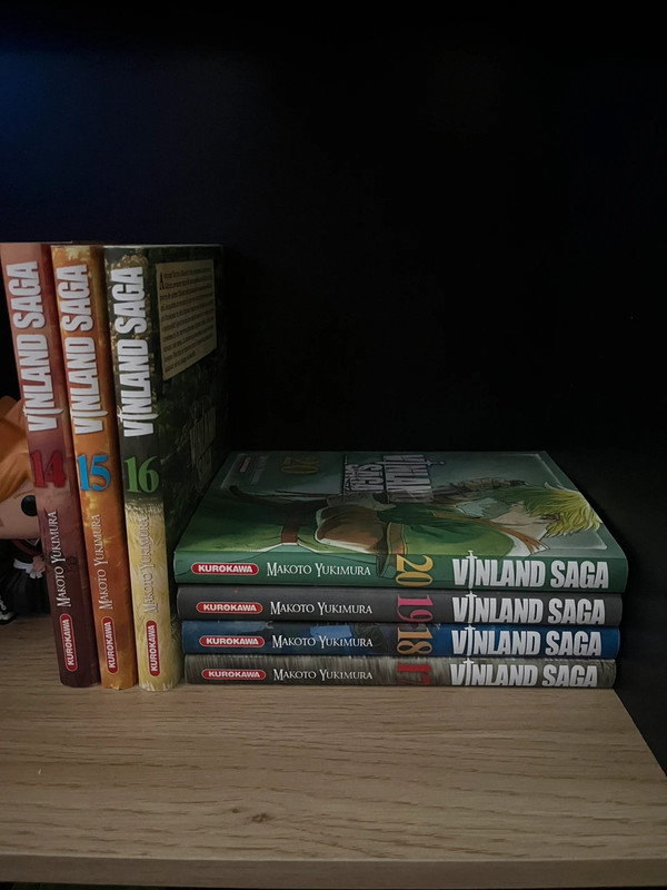 T14-T20 vinland saga