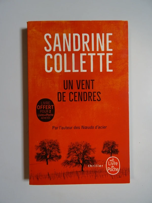 Un vent de cendres de Sandrine Collette