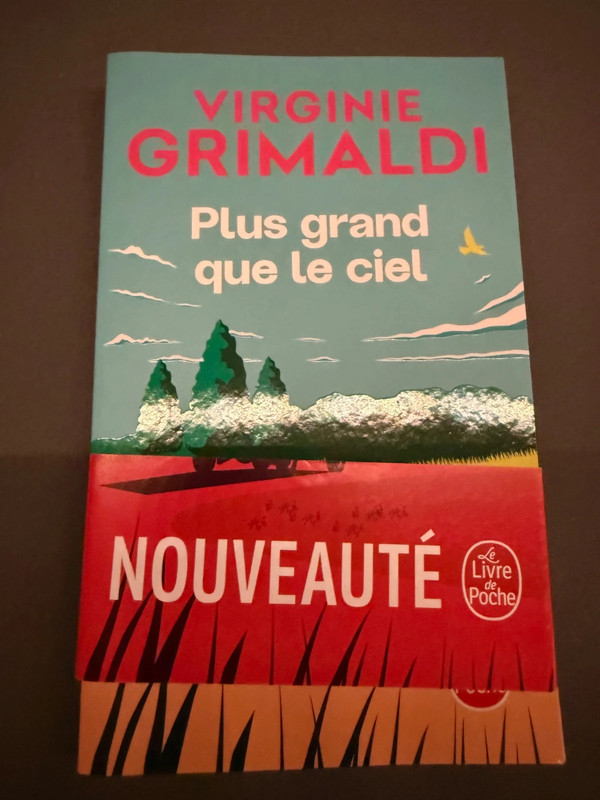 livre plus grand que le ciel virginie Grimaldi