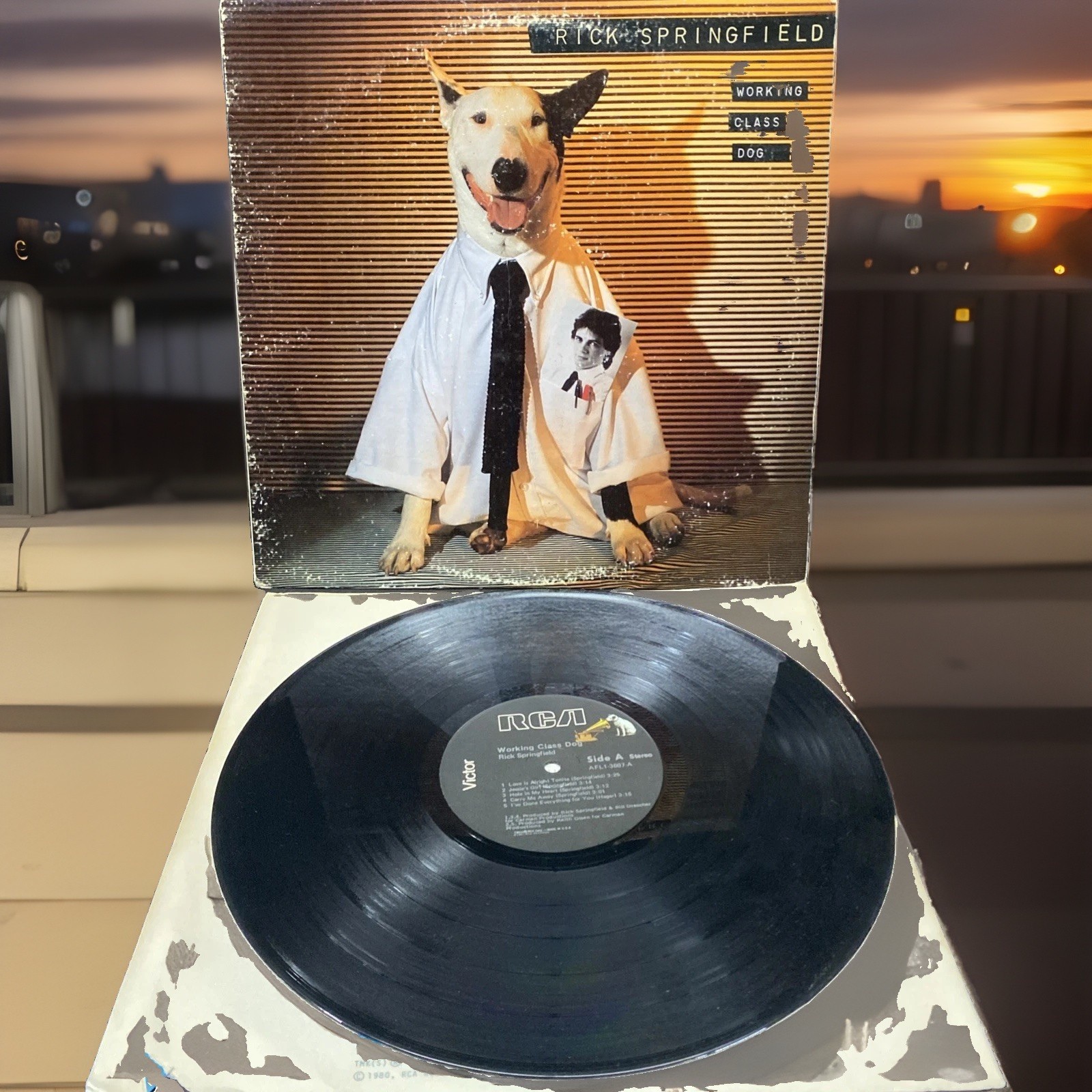 Rick Springfield  Working Class Dog Record 1981 RCA Rock Pop Jessie's Girl VGVG+