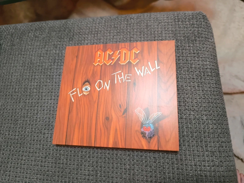 Cd flo on the wall acdc