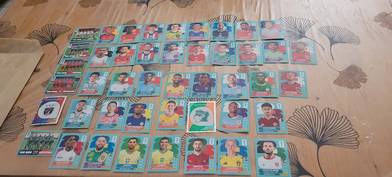 #lot 45 cartes panini