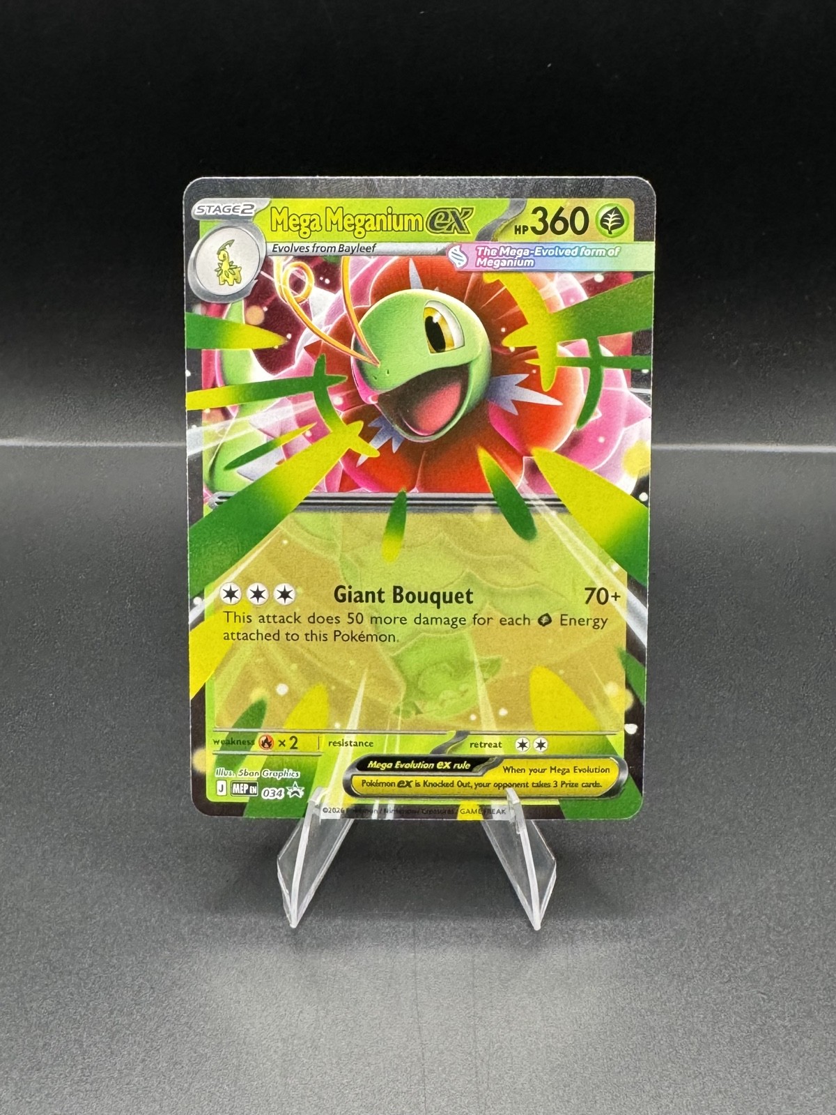 Mega Meganium ex 034 Promo Holo Ascended Heroes Mega Evolution Pokemon TCG