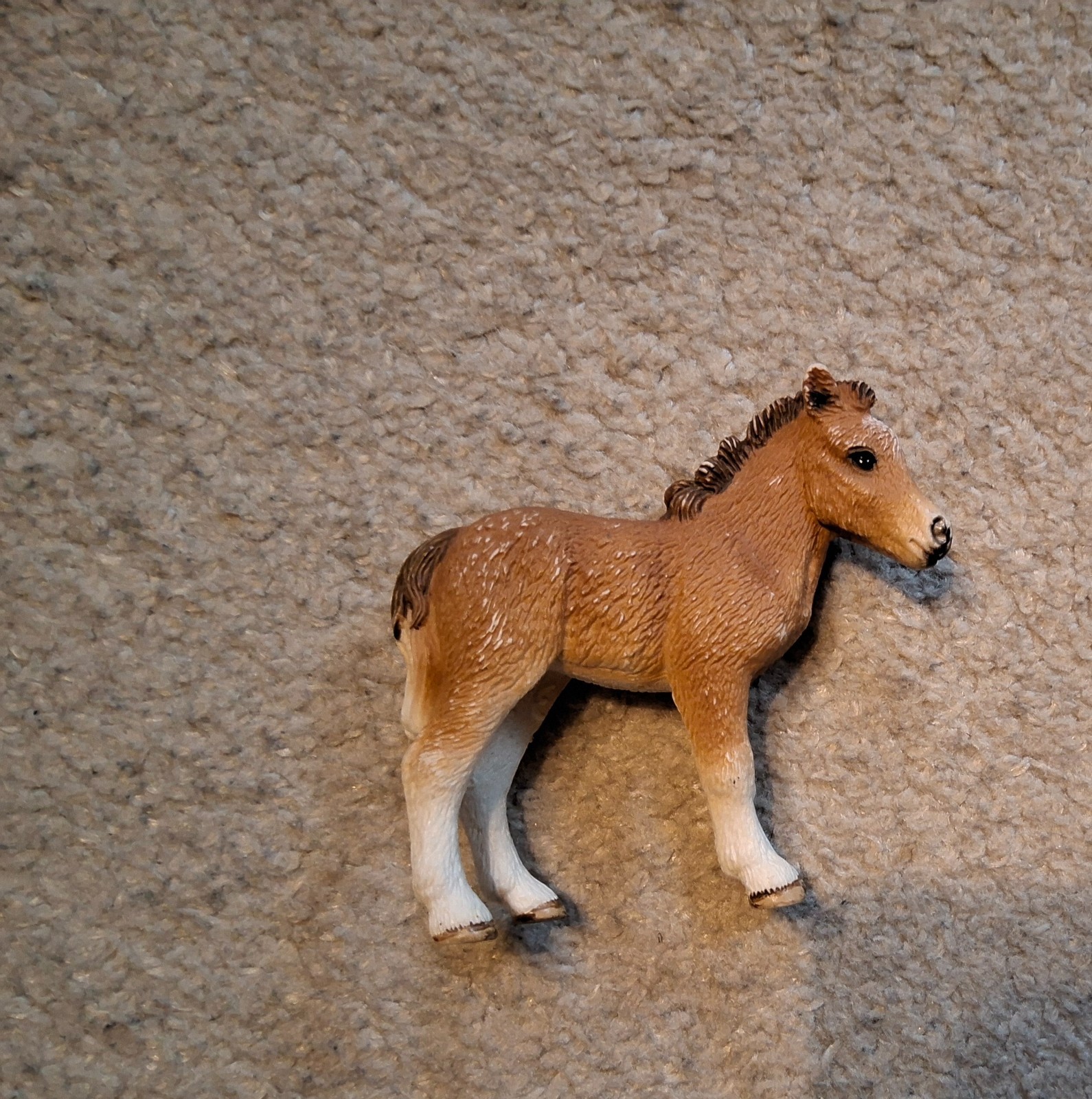 ♡♡ Schleich Dartmoor Pony Fohlen 13691 ♡♡