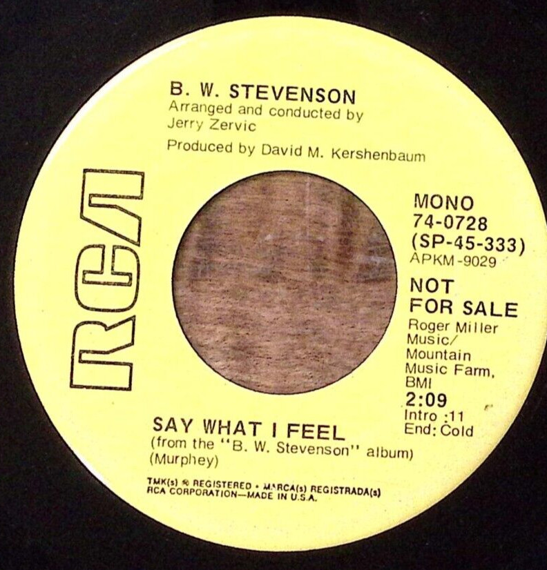 BW STEVENSON SAY WHAT I FEEL PROMO RCA RECORDS VINYL 45 53-43