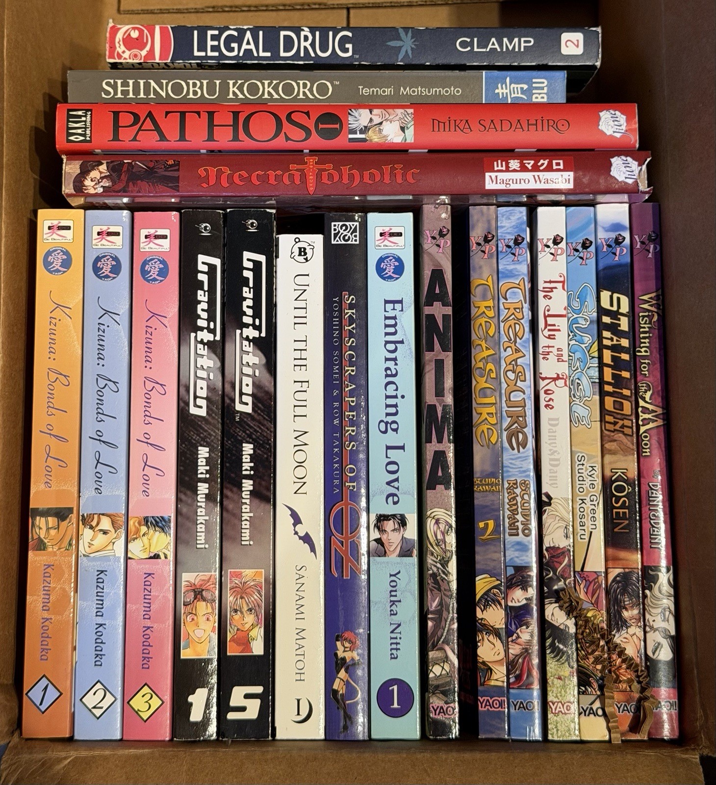 Lotto di 19 manga vintage Yaoi + BL anni 2000