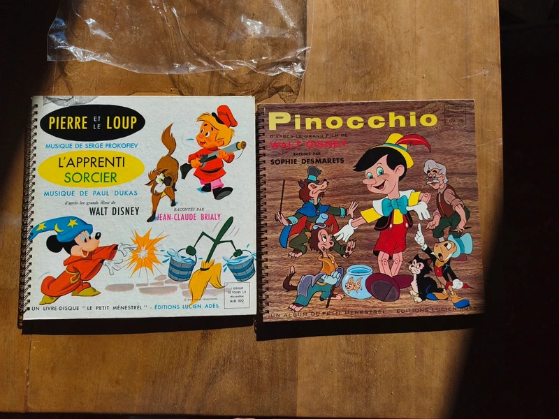 Ensemble 33 tours Disney