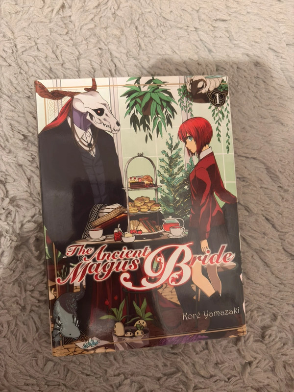 Tome 1 the ancient magus bride