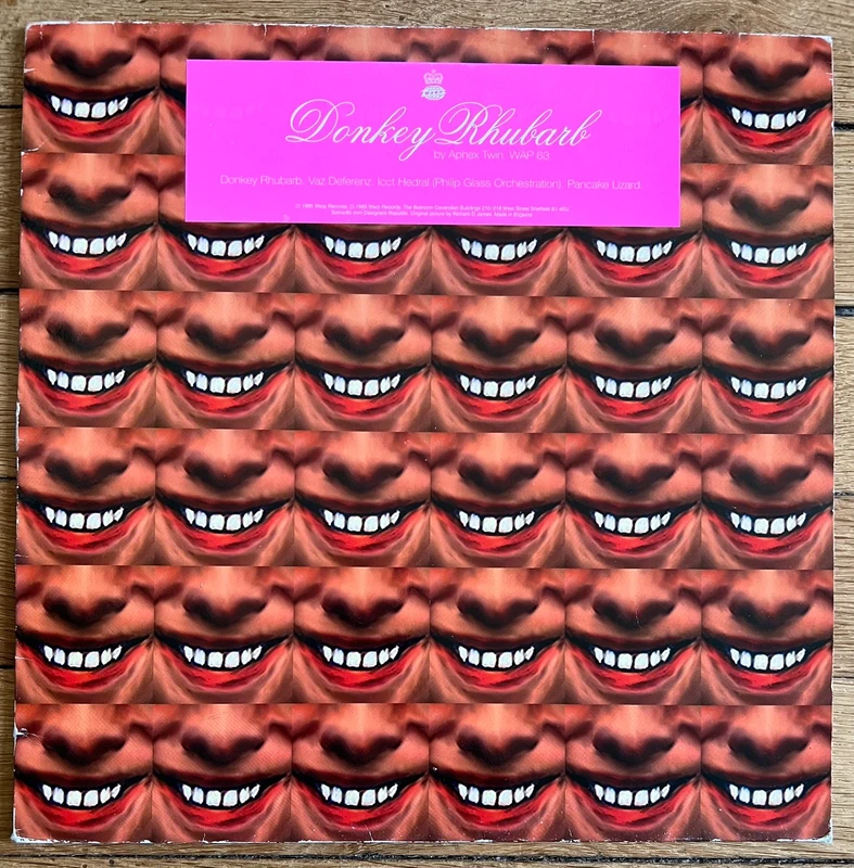 Rare Vinyle Maxi Aphex Twin  - Donkey Rhubarb Original 1995 🇬🇧