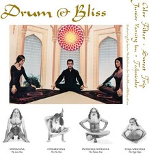 Various Artists - Drum & Bliss (Colored Vinyl) New Sealed Vinyl