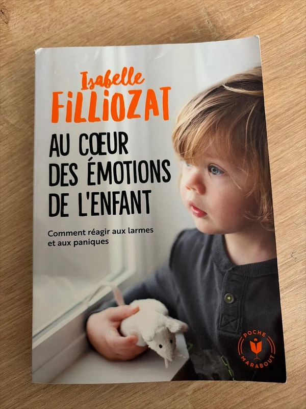 Au coeur des émotions de l'enfant: Comment réagir aux larmes et aux paniques (Famille-Education) (Fr