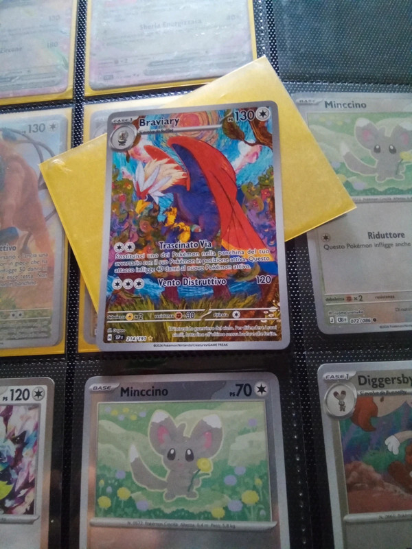Carta pokemon