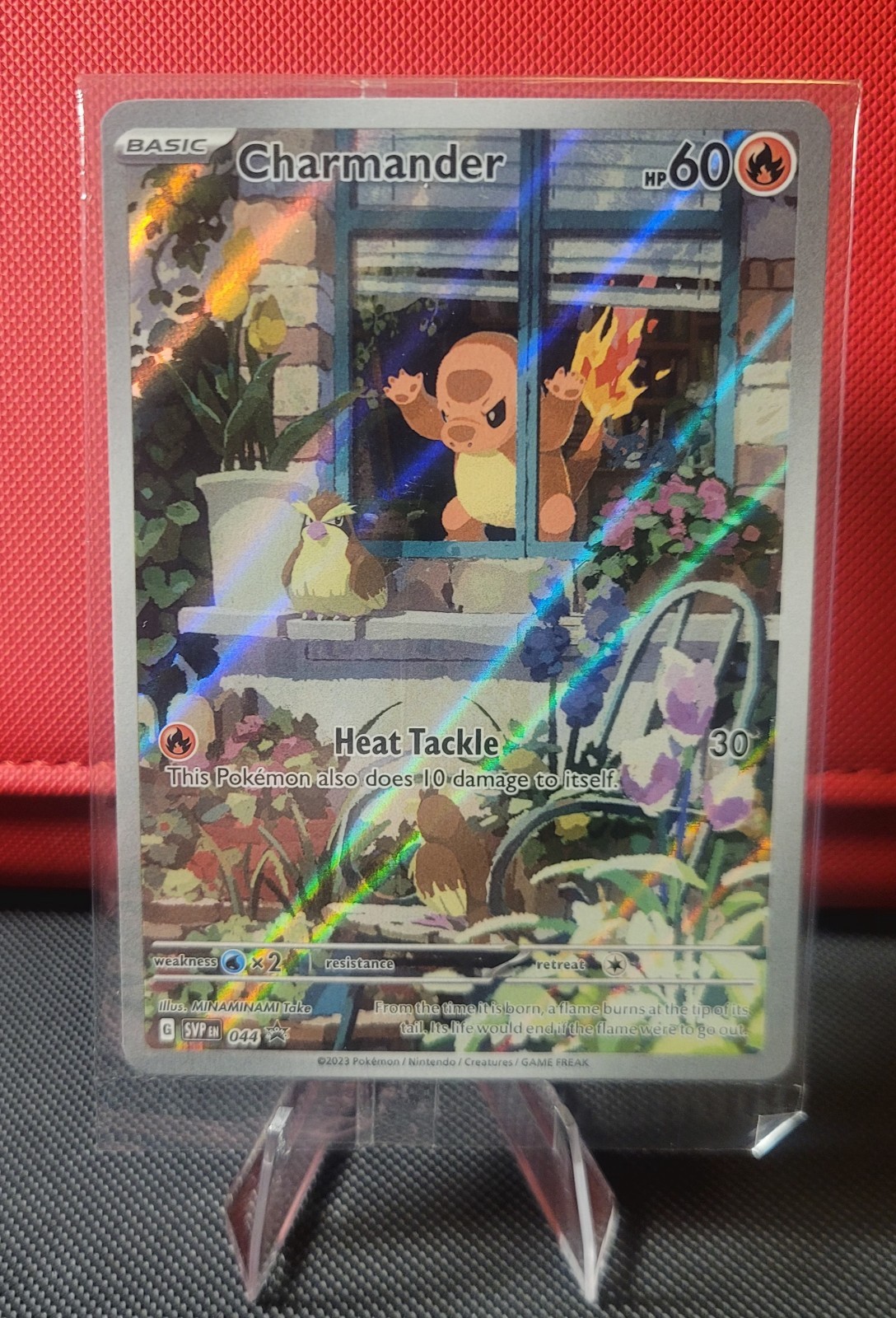 Pokémon Charmander 044 2023 Scarlatto e Viola Stella Nera Promo "SIGILLATO" come nuovo