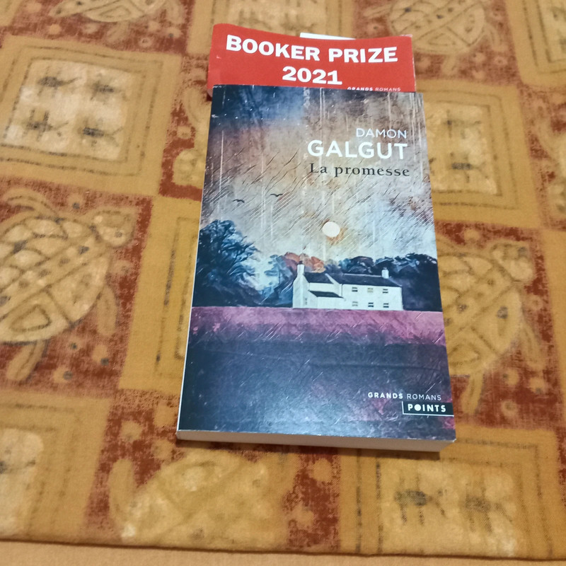 La promesse - Damon Galgut
