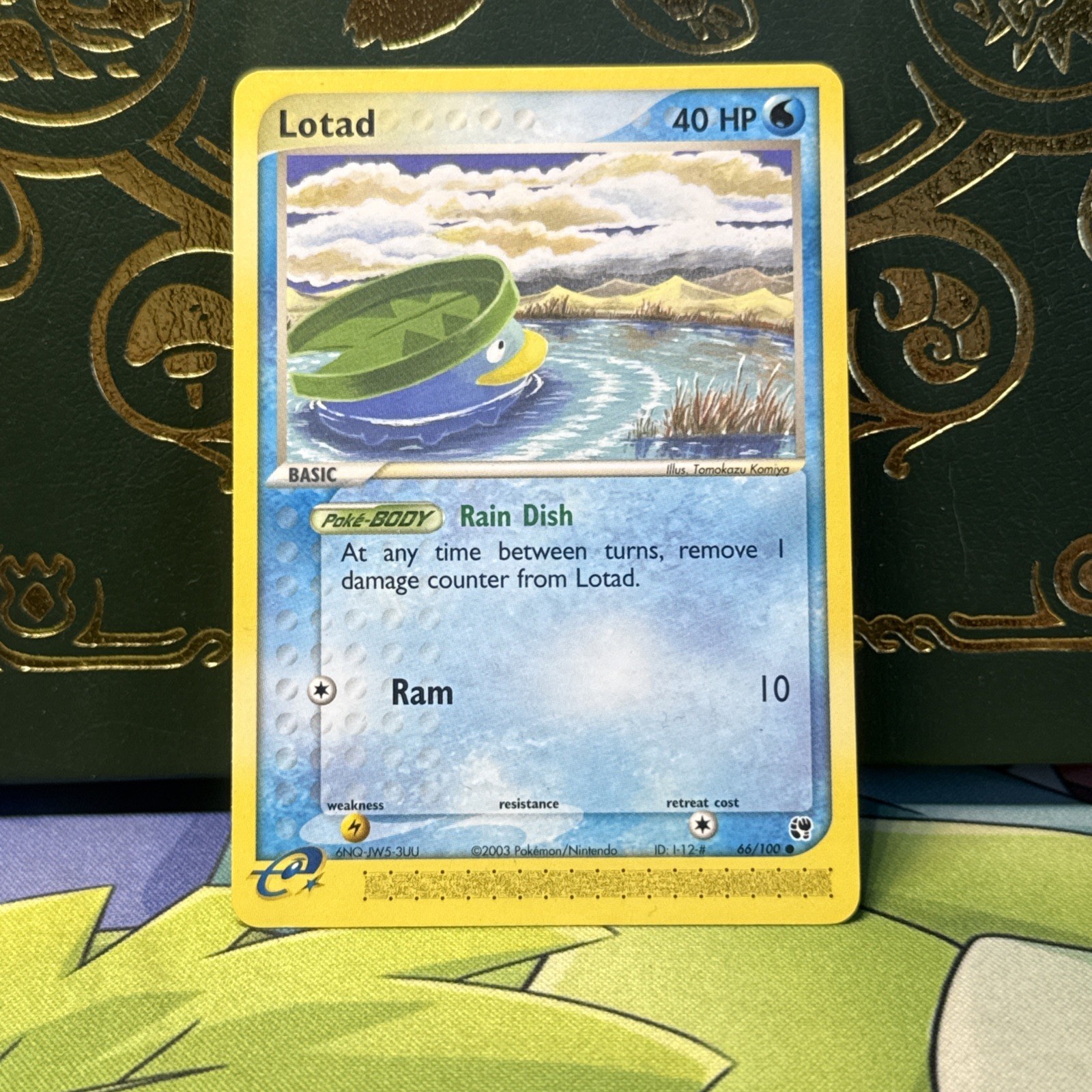 Pokemon TCG Lotad 66/100 Tempesta di Sabbia quasi nuovo/carta come nuova