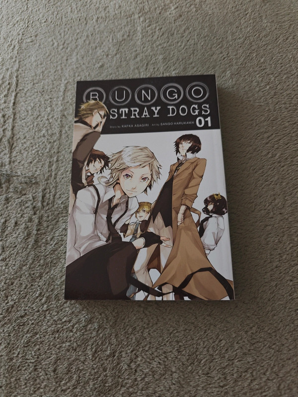 Bungo stray dogs manga vol.1