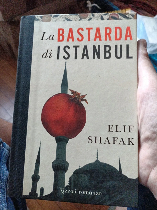 La bastarda di Istanbul - cl