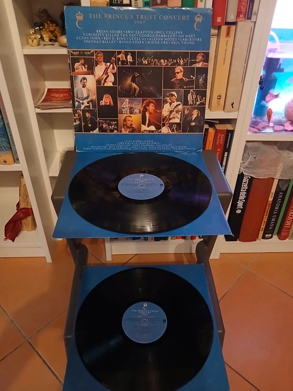 Vinile The Prince's Trust Concert