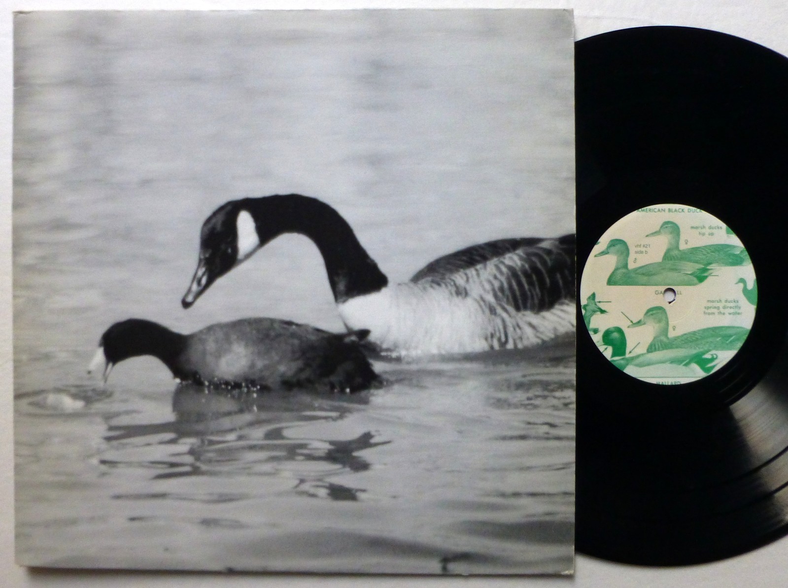 DOLDRUMS Secret Life of Machines LP 1995 Space Rock Vinile VG++ #1890