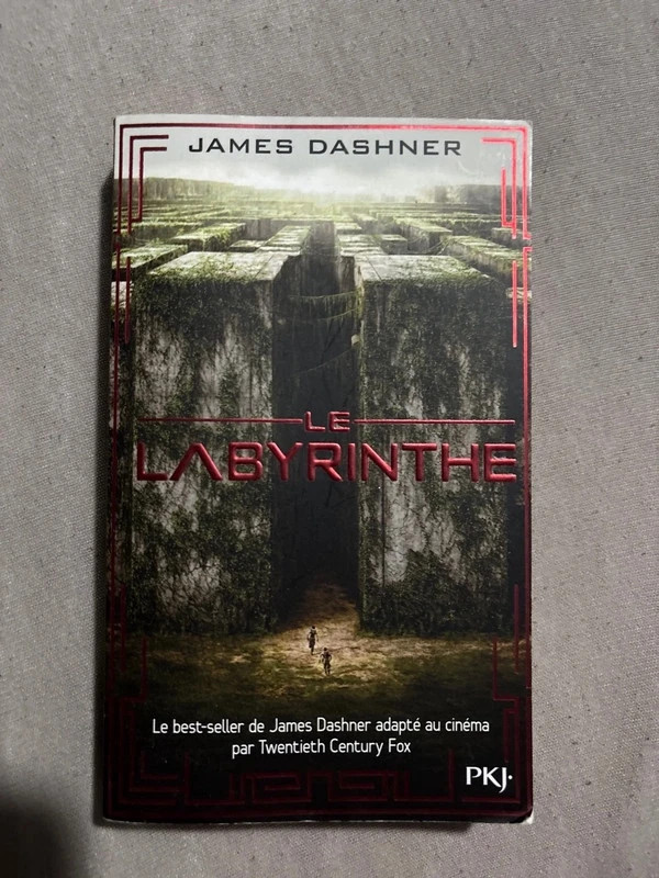 Roman Le labyrinthe