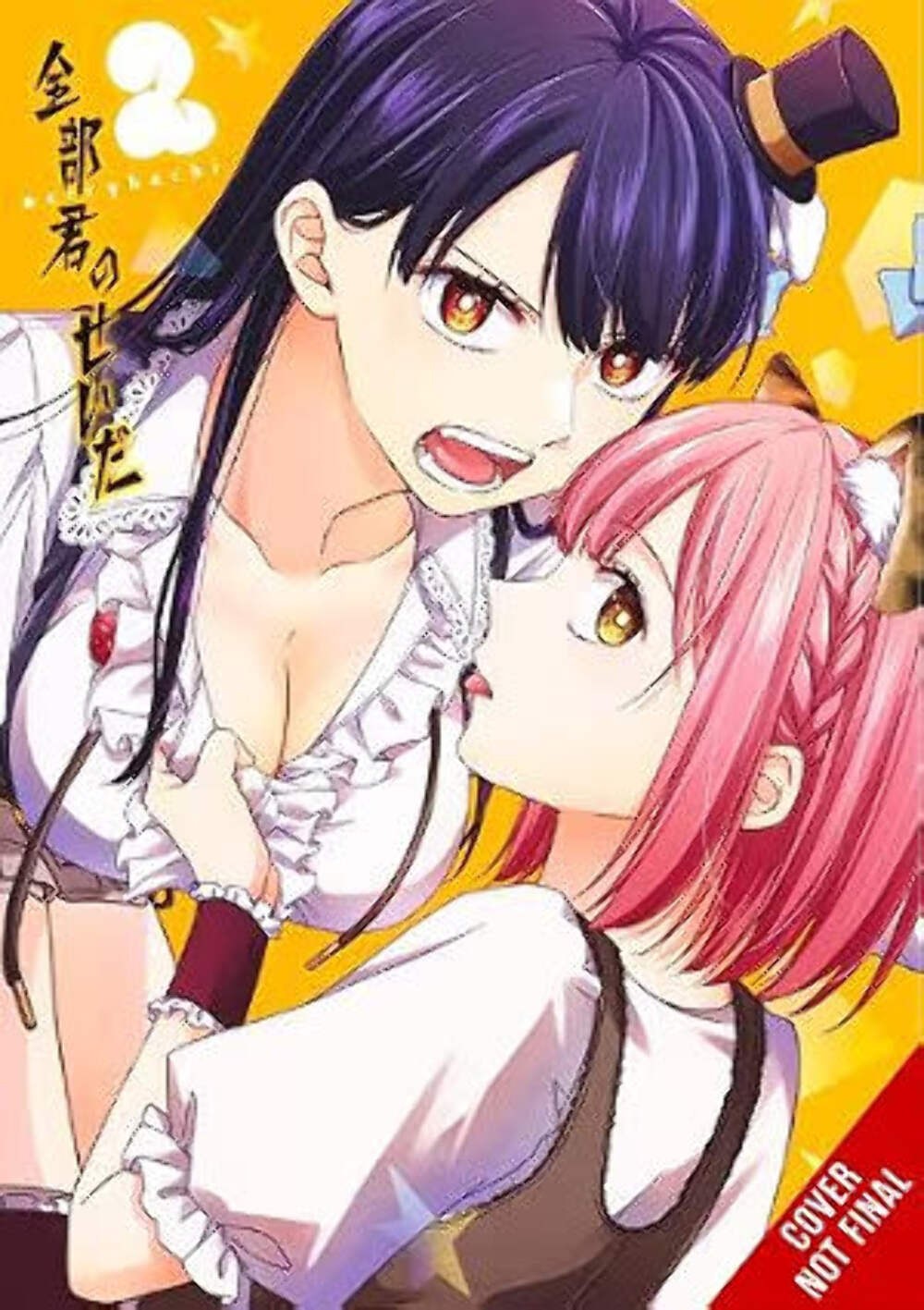 It's All Your Fault Vol 2 usato manga inglese graphic novel fumetto