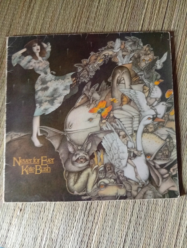 Kate Bush