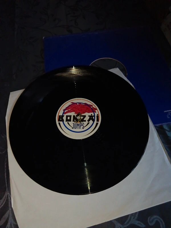 Vinyle Techno Bonzai Jumps