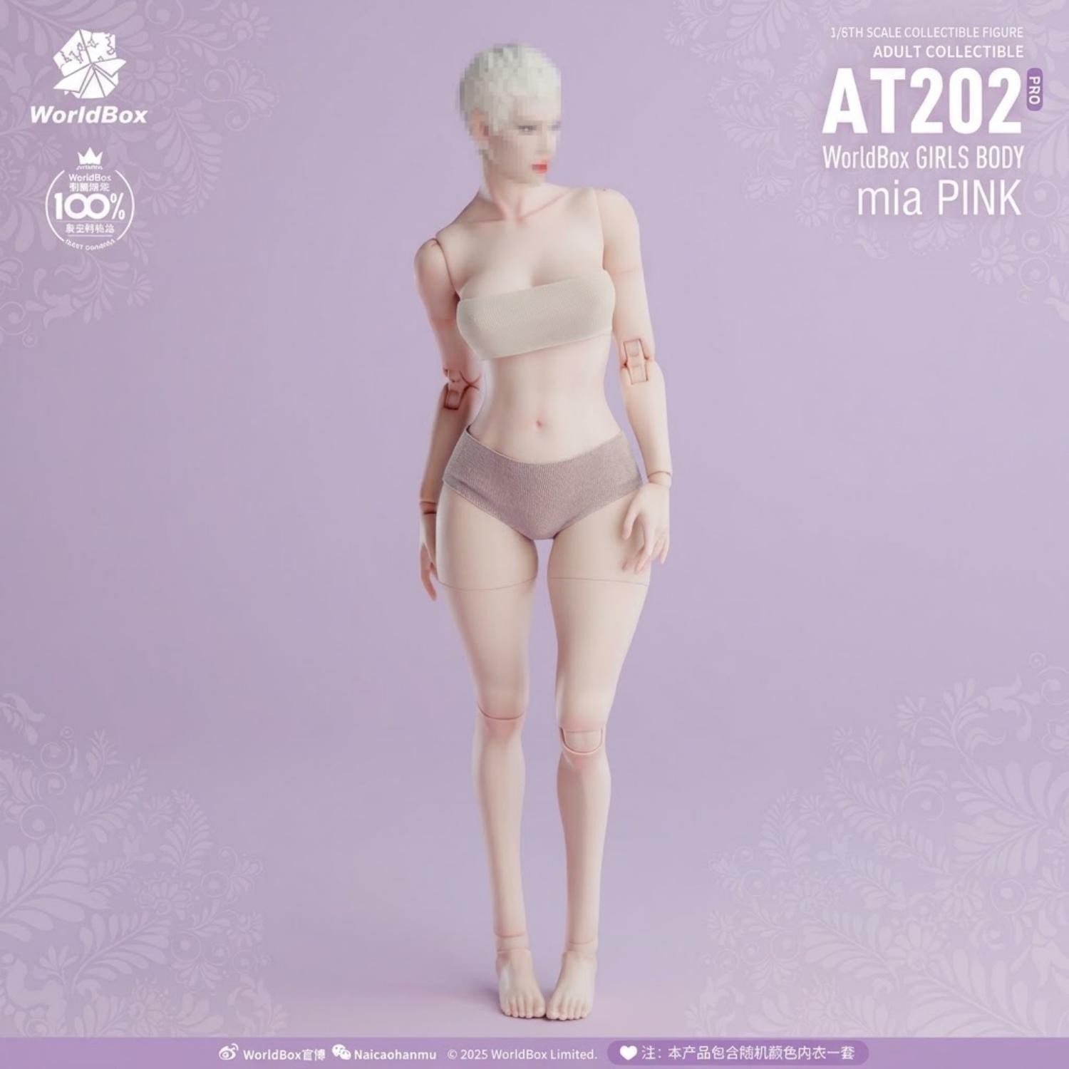 Worldbox AT202pro 1/6 Modellino Modellino Donna Ragazza Body Mia Rosa per 12"