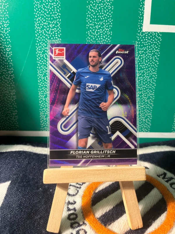 Florian Grillitsch /250, TSG Hoffenheim - Topps Finest