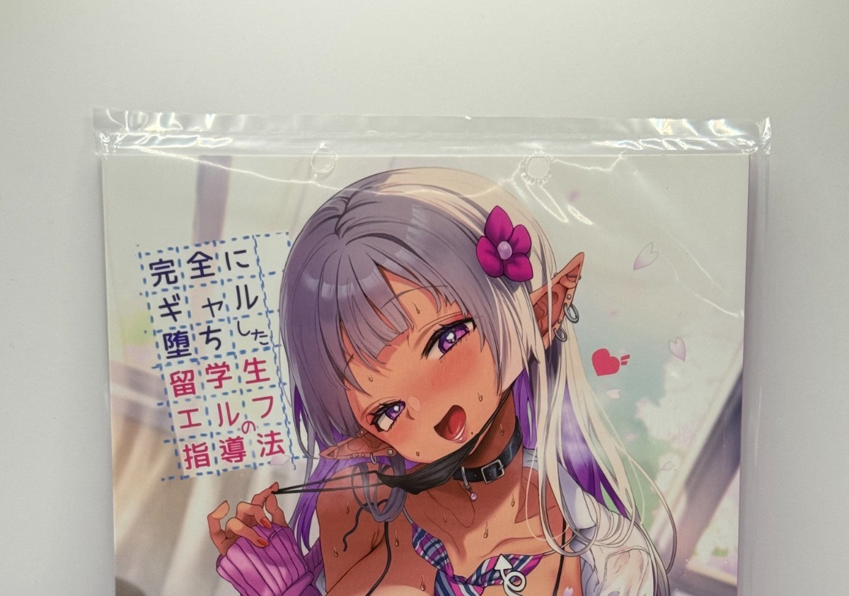 Elfo Doujinshi / Illustrazione Giappone